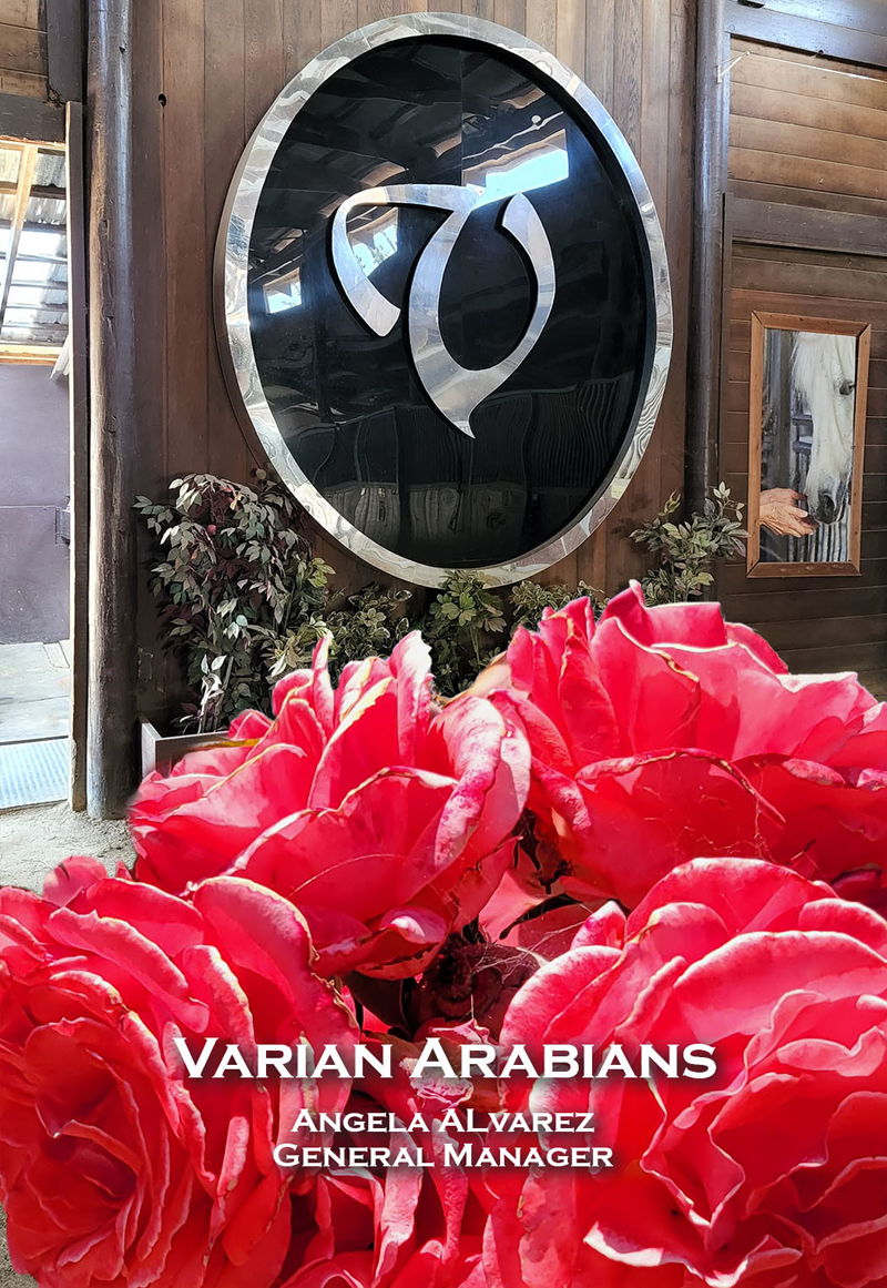Visit to Varian Arabians - by kathy Troxler