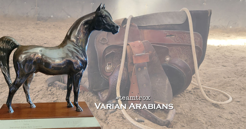 Visit to Varian Arabians - by kathy Troxler