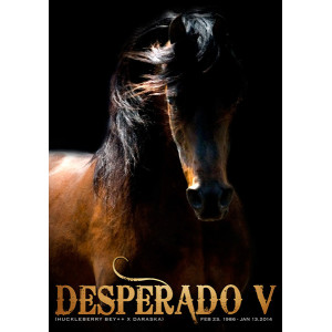 Desperado V