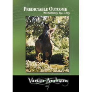 The Predictable Outcome: The Huckleberry Bey++ Story