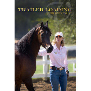 Trailer Loading