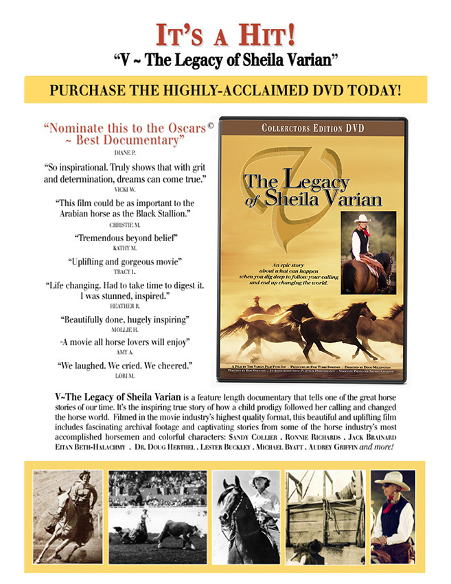 The Legacy of Sheila Varian - DVD poster