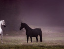 audacious mare varian9 10 lg