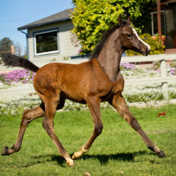 2019 ezekiel v  april h3h6456