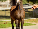2019 ezekiel v oct1 h3h7153