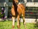 2019 fandango v april h3h7252