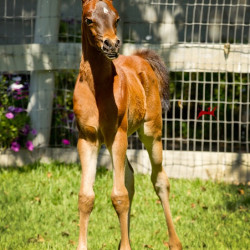 2019 fandango v april h3h7252