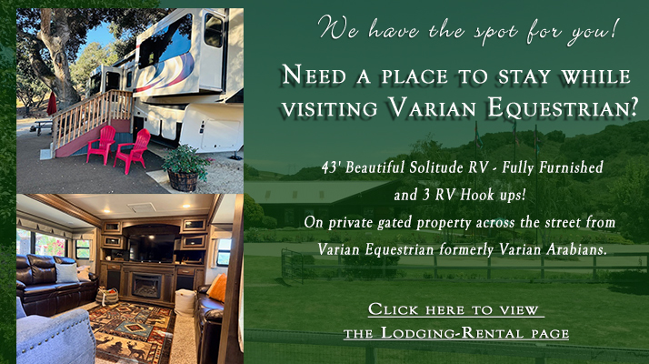 Click to view the Lodging-Rental page