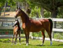 2017 kharolina girl v and khantina girll v h3h7057
