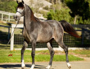 2018 kharolina girl v october h3h7820