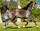 2018 kharolina girl v october h3h7909