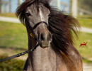 2019 lovely loleeta v 3 h3h7789