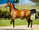 2019 regal aire v may h3h9573
