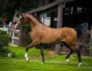 2020 regal aire v august