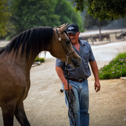 2020 regal aire v august