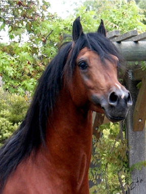 Jullyen