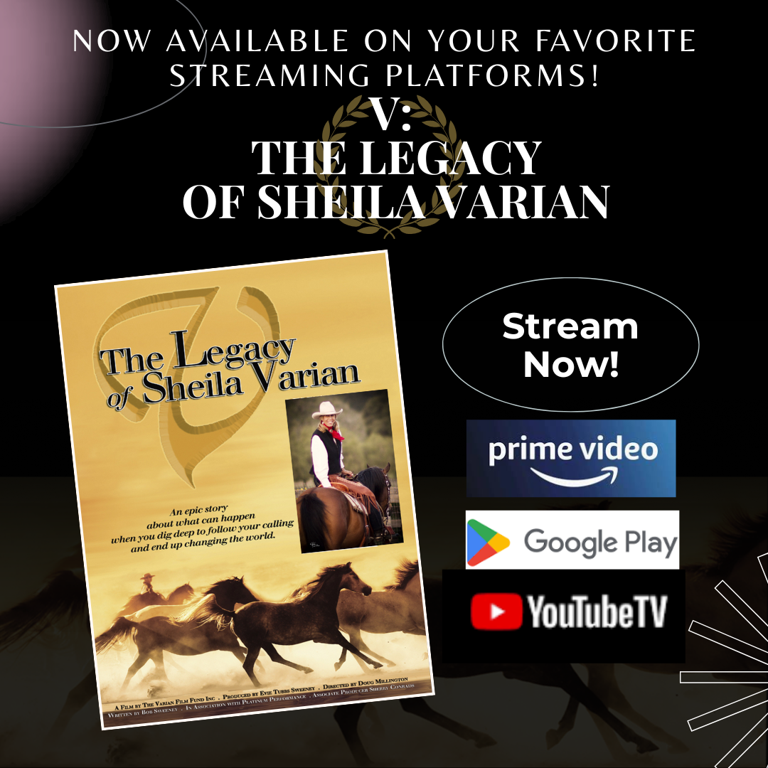2025 varian movie streaming
