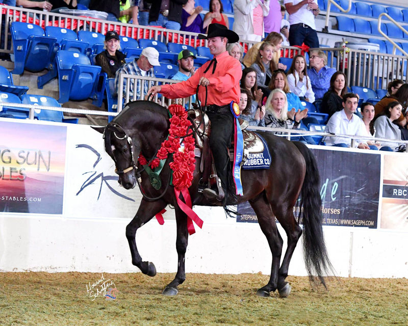 Abe  Cotton and 2017 Canadian National Champion Half-Arabian Western Pleasure Jr. Horse: CPH Rockstarr