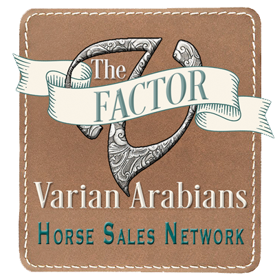 The V factor - Varian Horse Sales Network